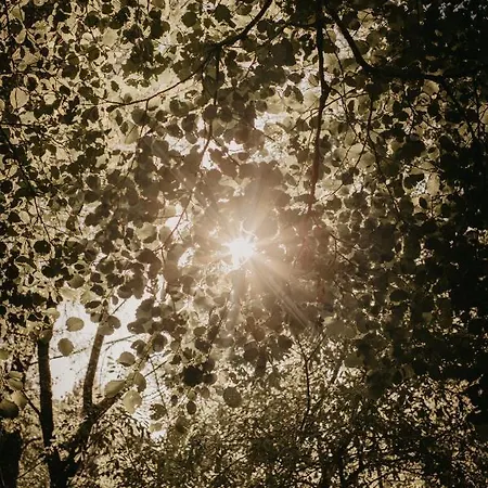 Campo de lujo Glamping The Teepee