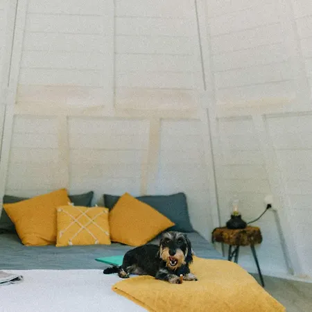 Campo de lujo Glamping The Teepee