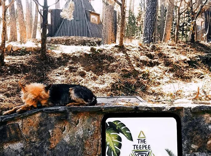 Glamping The Teepee Mombeltrán