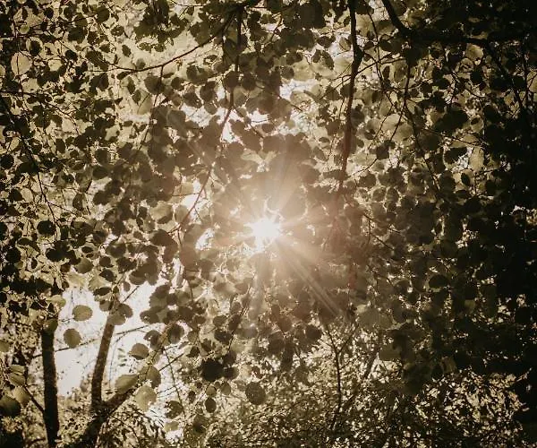 豪华帐篷 Glamping The Teepee